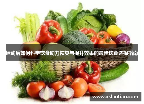 运动后如何科学饮食助力恢复与提升效果的最佳饮食选择指南