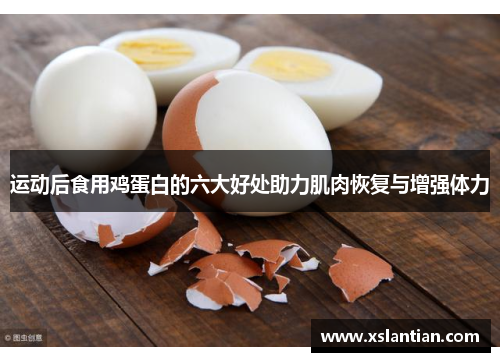 运动后食用鸡蛋白的六大好处助力肌肉恢复与增强体力