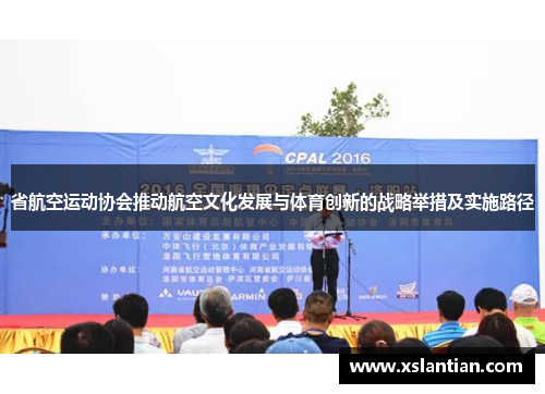 省航空运动协会推动航空文化发展与体育创新的战略举措及实施路径