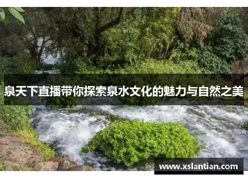 泉天下直播带你探索泉水文化的魅力与自然之美