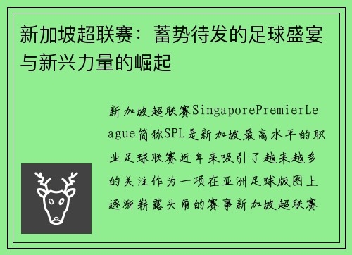 新加坡超联赛：蓄势待发的足球盛宴与新兴力量的崛起