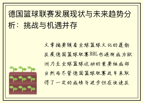 德国篮球联赛发展现状与未来趋势分析：挑战与机遇并存